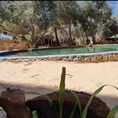 سيوة تورز للسياحة العلاجية Siwa Oasis Exterior foto