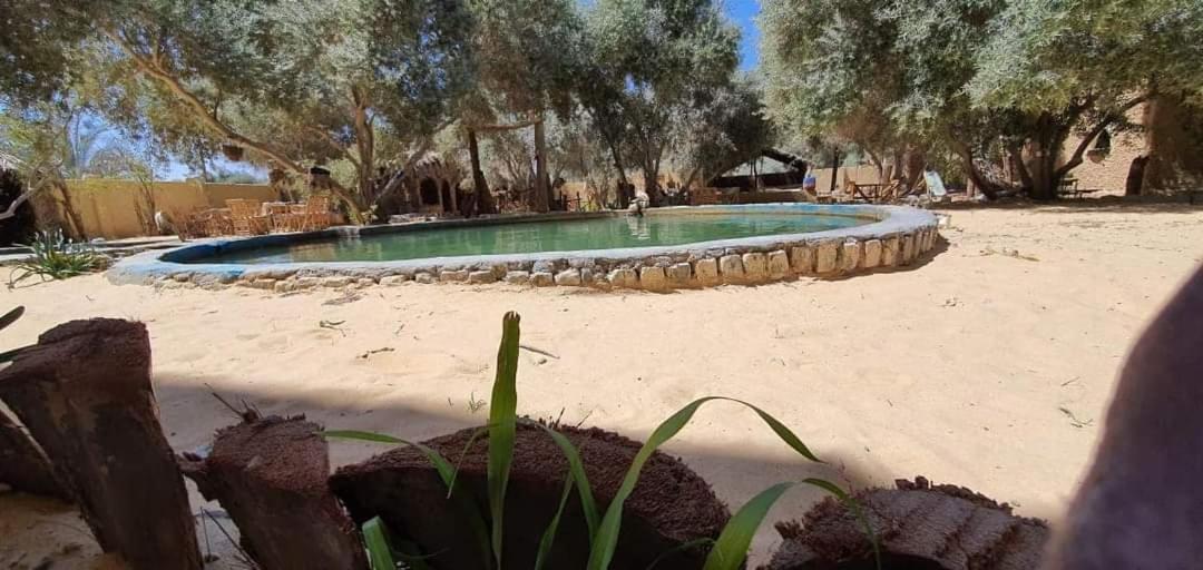 سيوة تورز للسياحة العلاجية Siwa Oasis Exterior foto