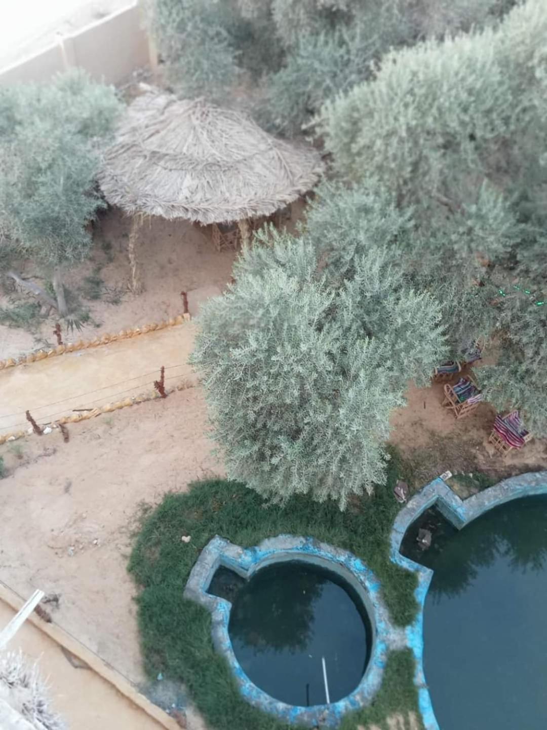 سيوة تورز للسياحة العلاجية Siwa Oasis Exterior foto